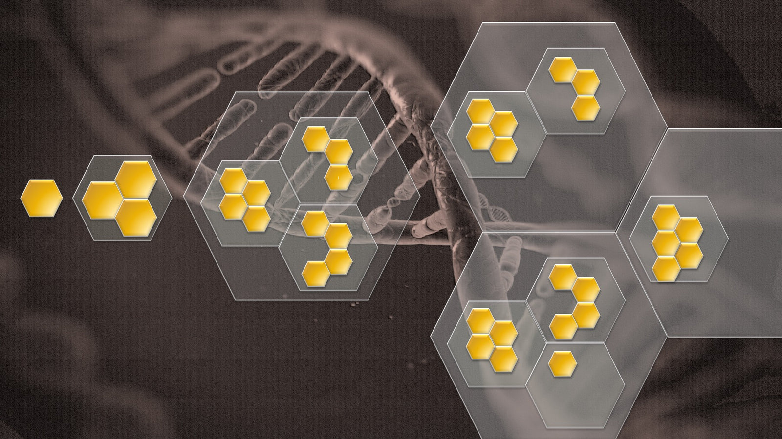 Was ist eine Wabenorganisation?